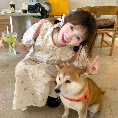 美人局